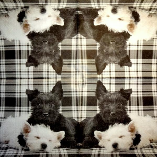 HUN-201 Dogs - 3-ply